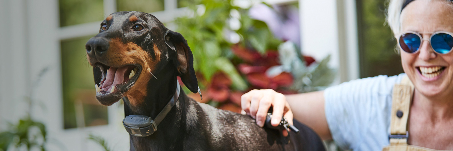 DogWatch Arkansas Hidden Fence, Fayetteville, Arkansas | Remote Dog Training Collars Slider Image