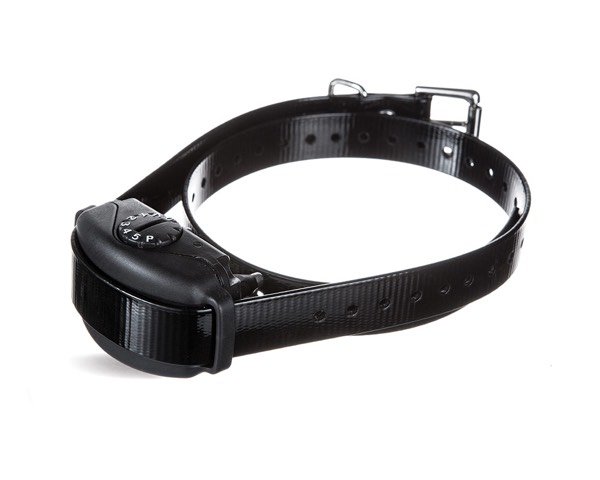 DogWatch Arkansas Hidden Fence, Fayetteville, Arkansas | BarkCollar No-Bark Trainer Product Image