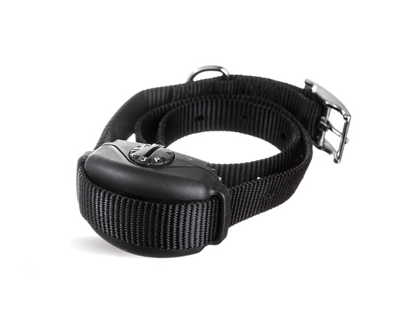 DogWatch Arkansas Hidden Fence, Fayetteville, Arkansas | SideWalker Leash Trainer Product Image